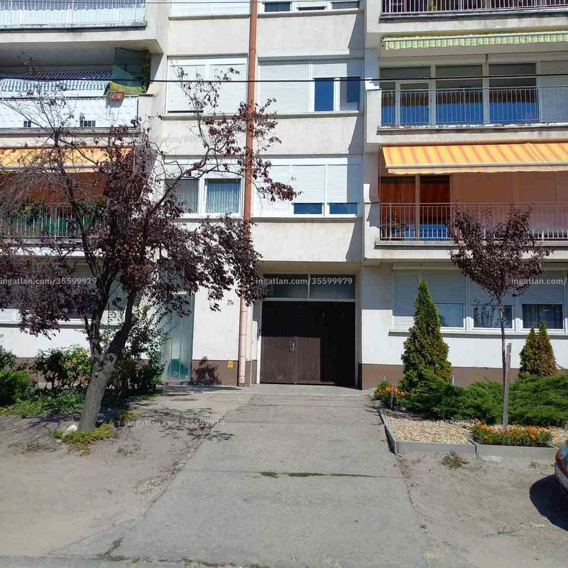 Ingatlan kép