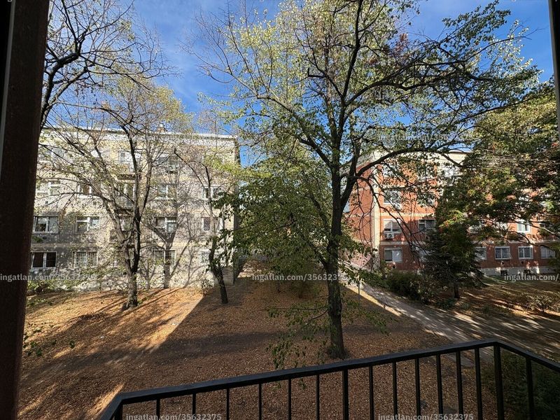 kilátás