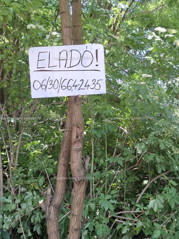 Hirdetés fotója