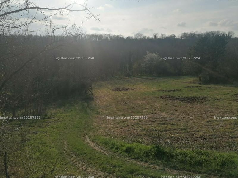 Bild über die Immobilie