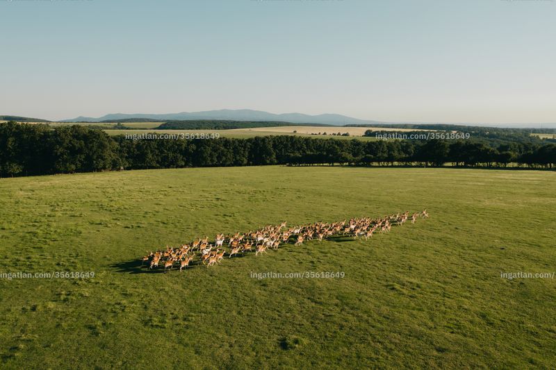 Foto auflisten