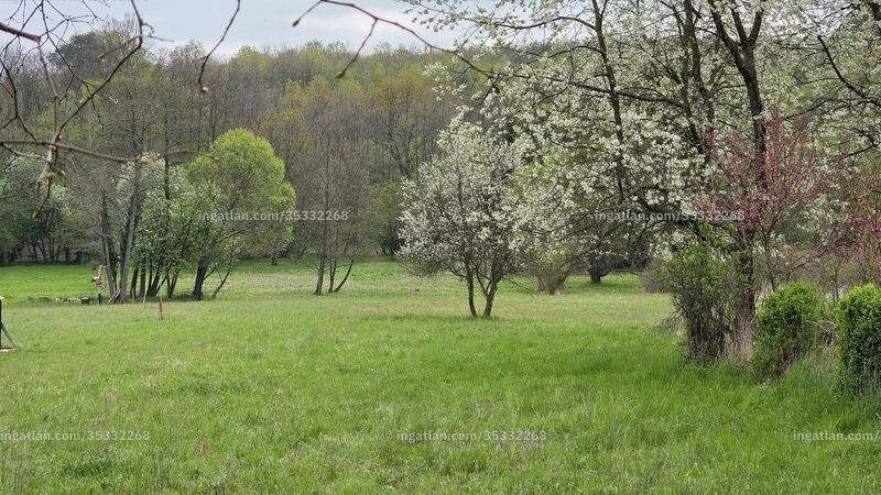 Foto auflisten