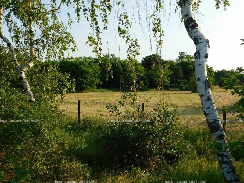 Foto auflisten