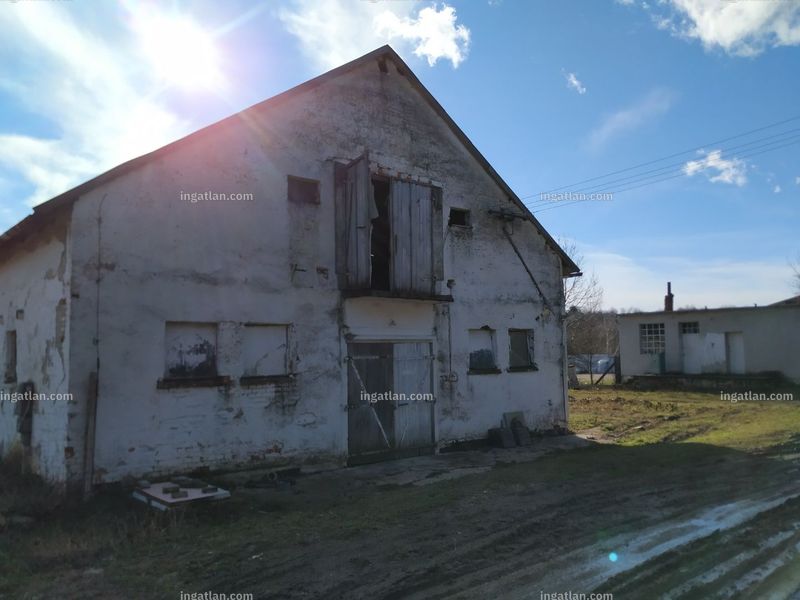 Foto auflisten