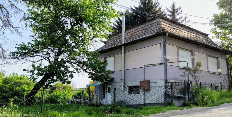 Hirdetés fotója