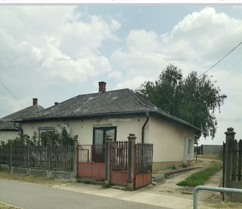 Foto auflisten