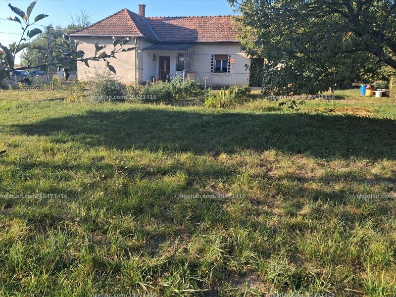 Ingatlan kép