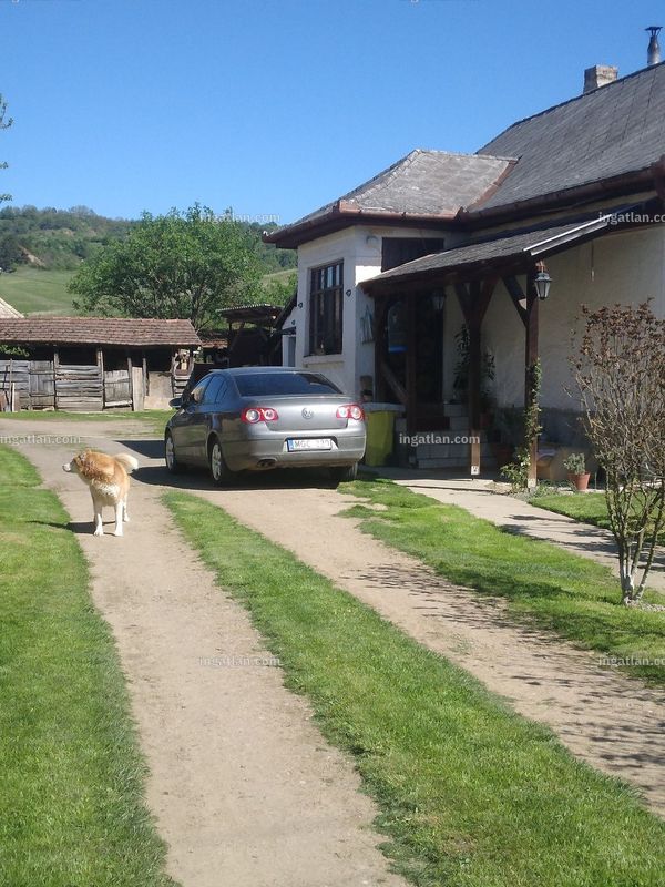 Kép az ingatlanról