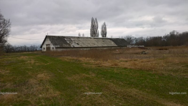 Kép az ingatlanról