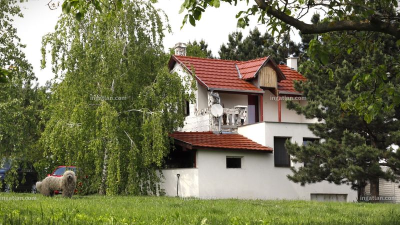 Ingatlan kép