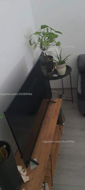 Bild über die Immobilie