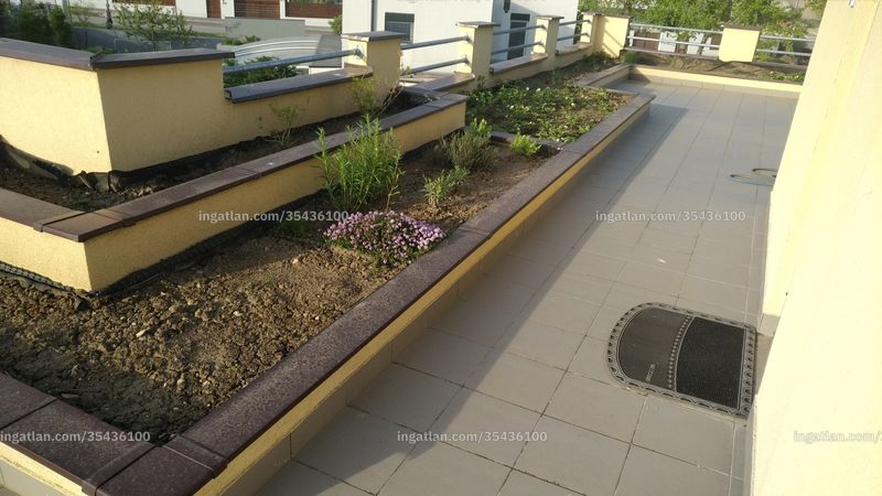 roof terrace