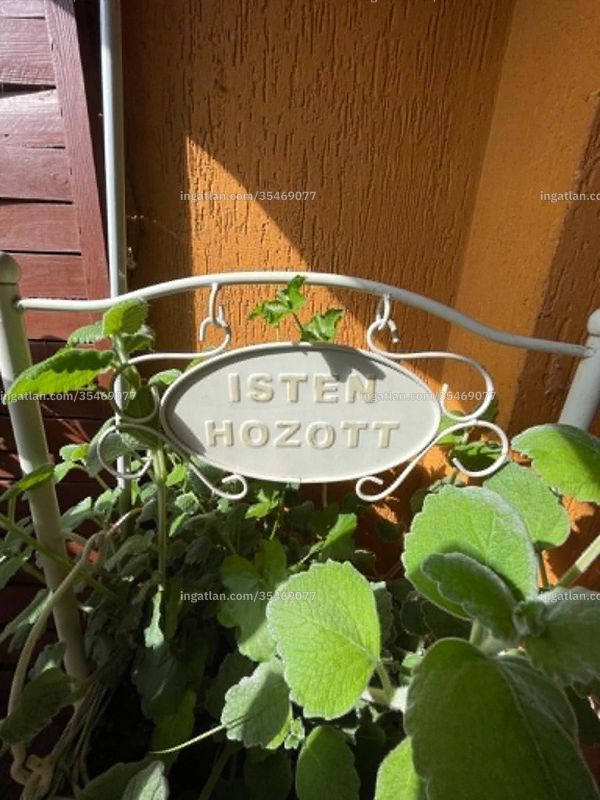 Ingatlan kép