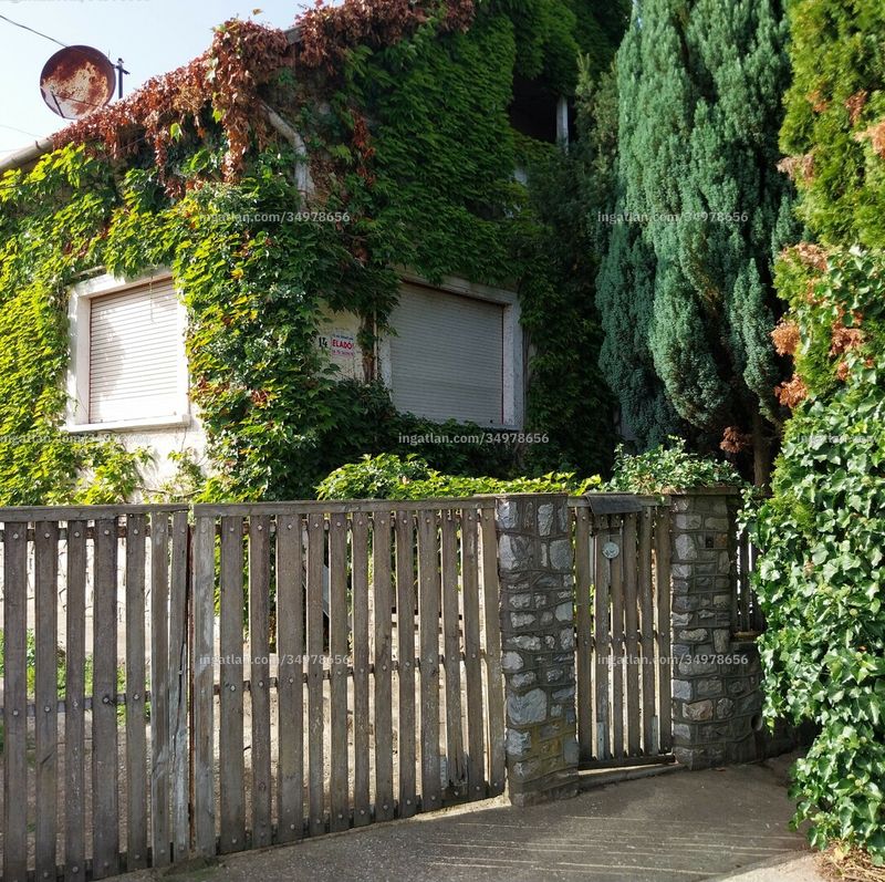 Hirdetés fotója