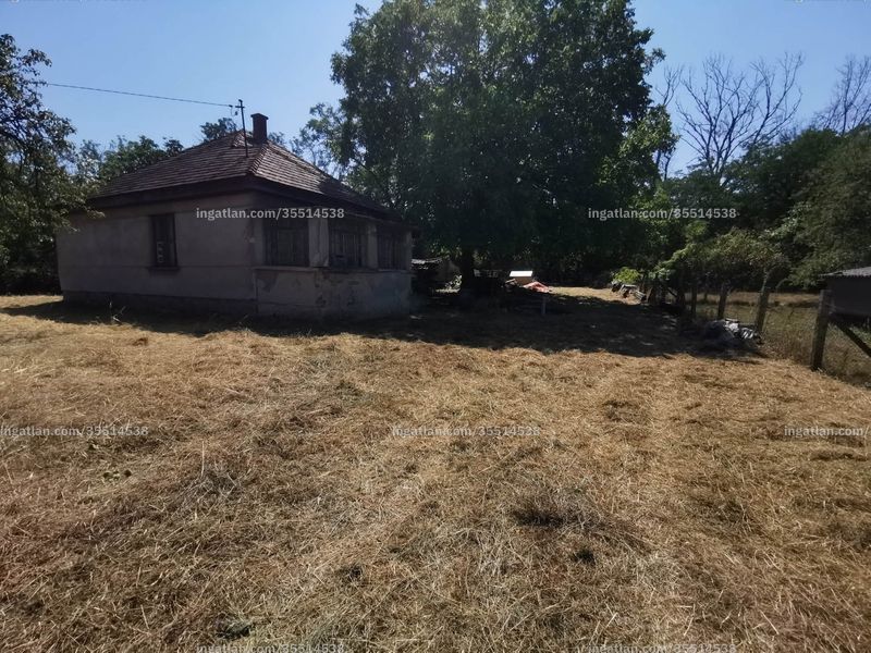 Kép az ingatlanról