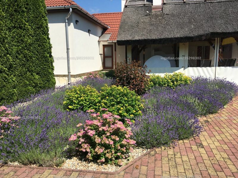 kert