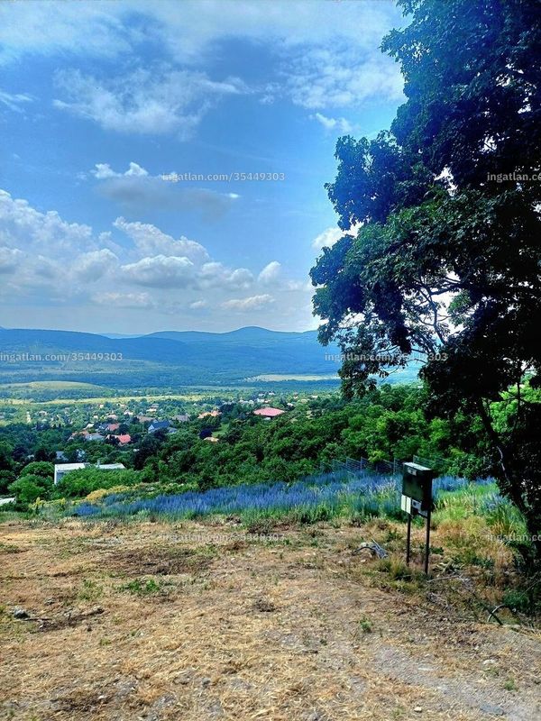 Foto auflisten