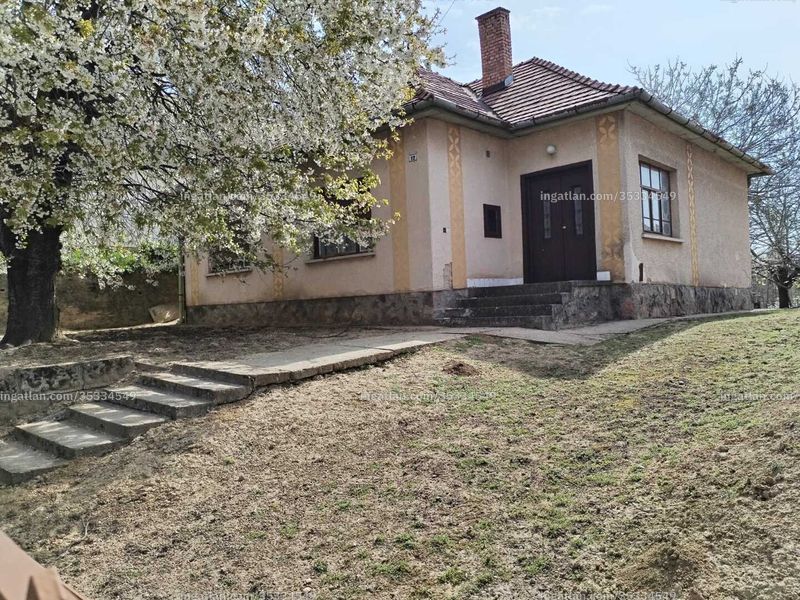 Ingatlan kép