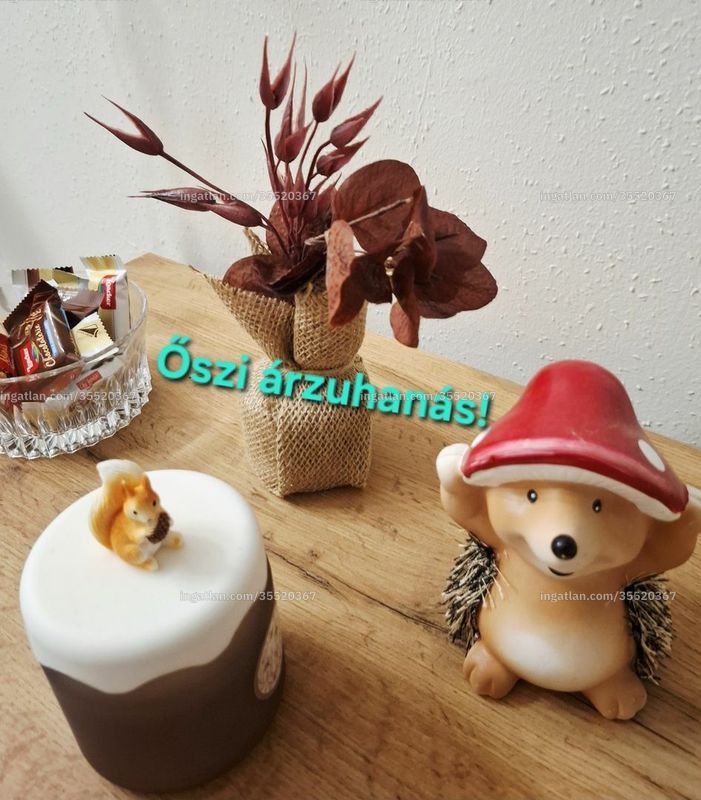 Hirdetés fotója