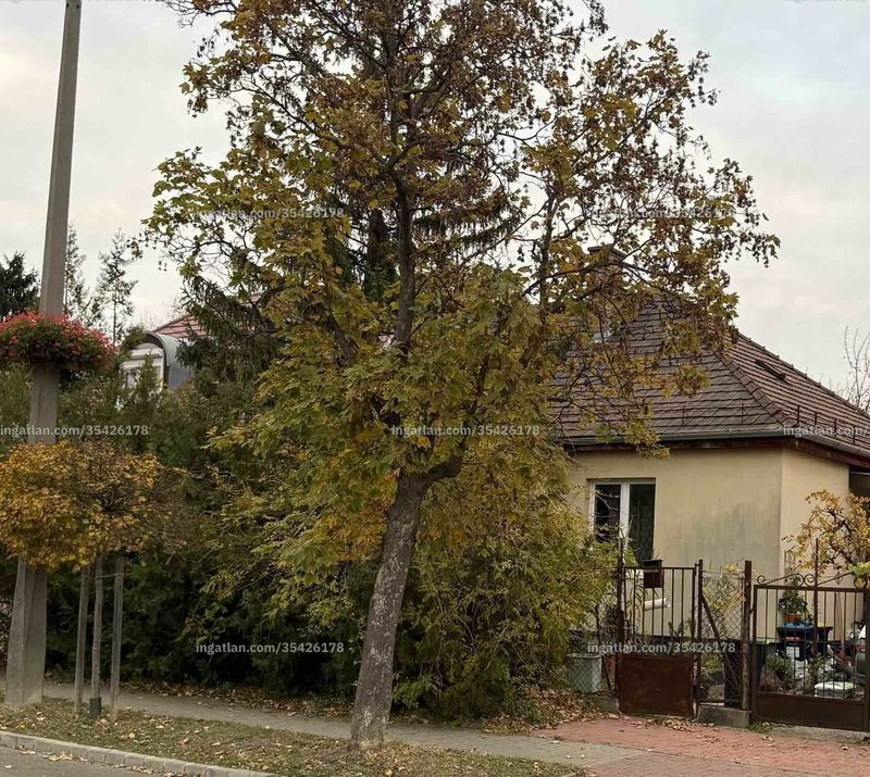 Ingatlan kép
