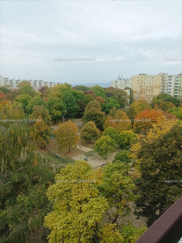 Foto auflisten