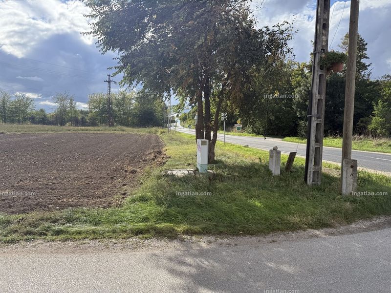 Foto auflisten