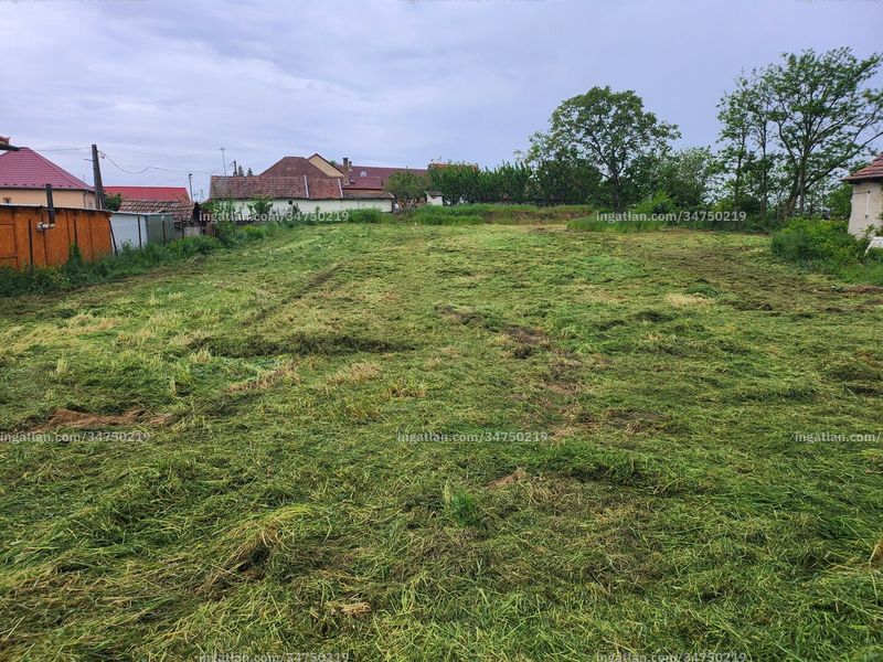 Foto auflisten