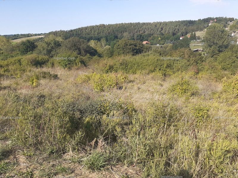 Hirdetés fotója