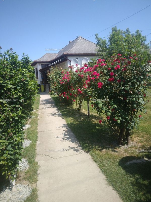 Ingatlan kép