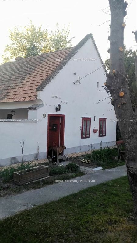 Hirdetés fotója