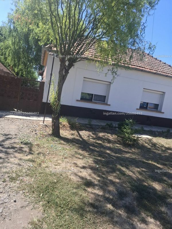 Hirdetés fotója