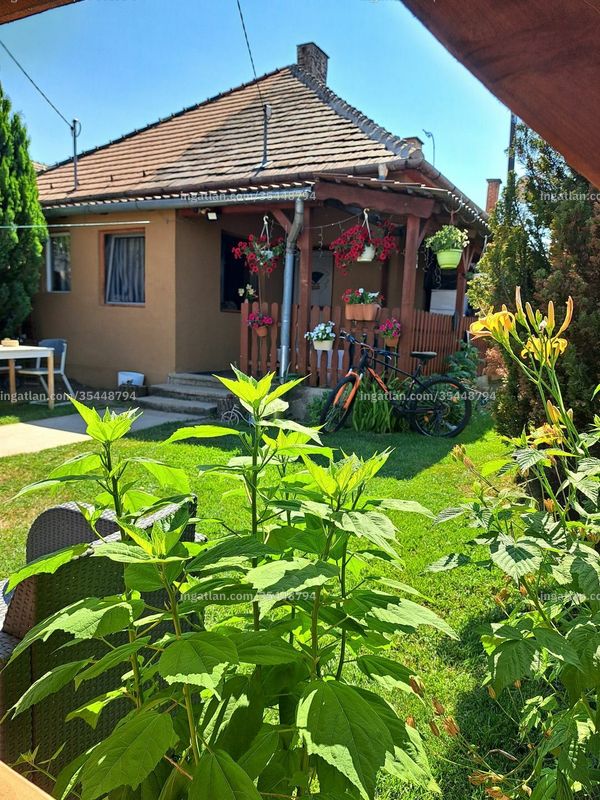 Ingatlan kép