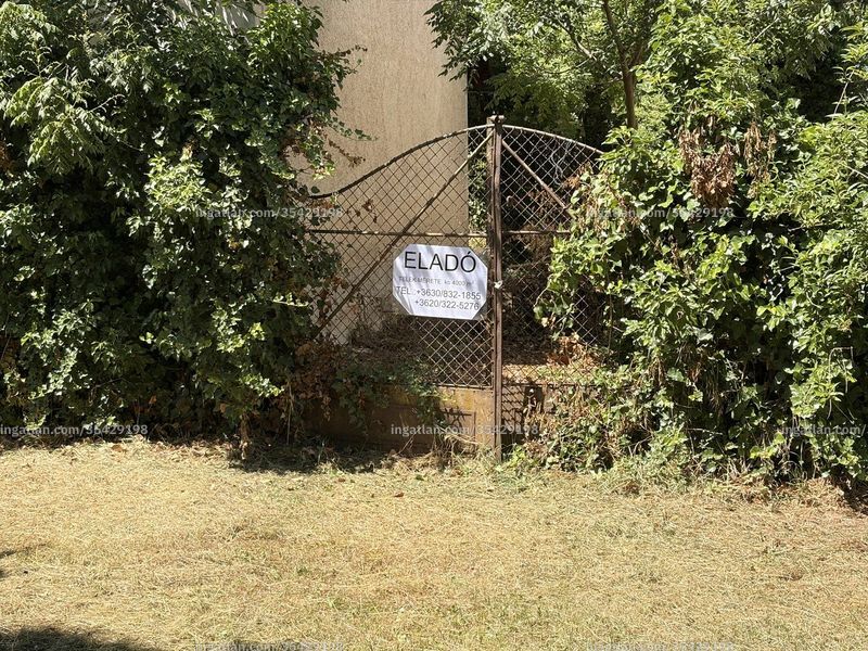 Ingatlan kép
