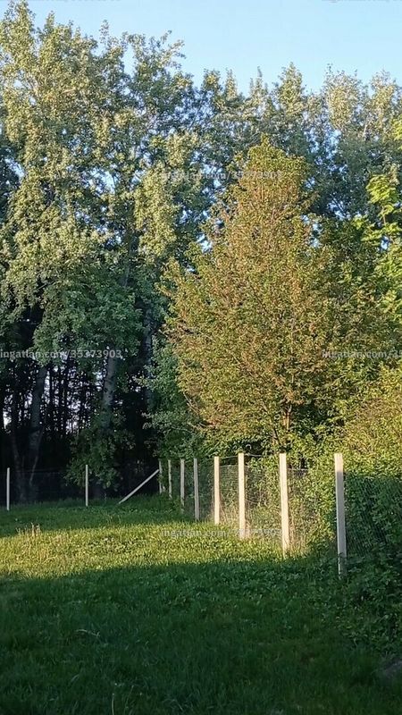 Aussicht