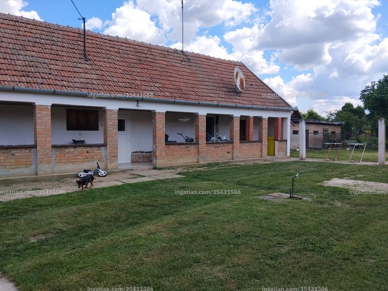 Kép az ingatlanról