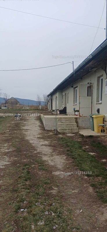 Hirdetés fotója