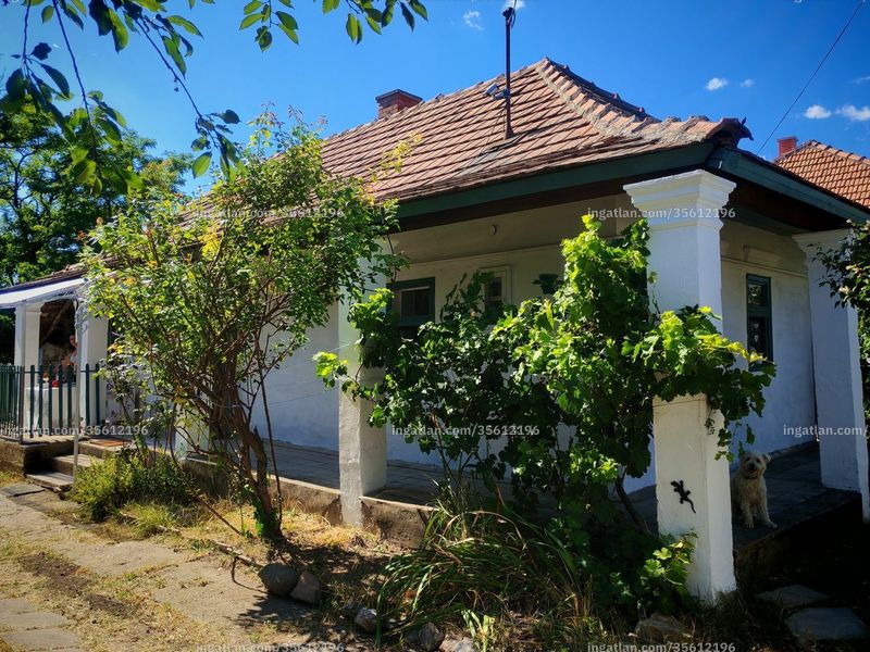 Ingatlan kép