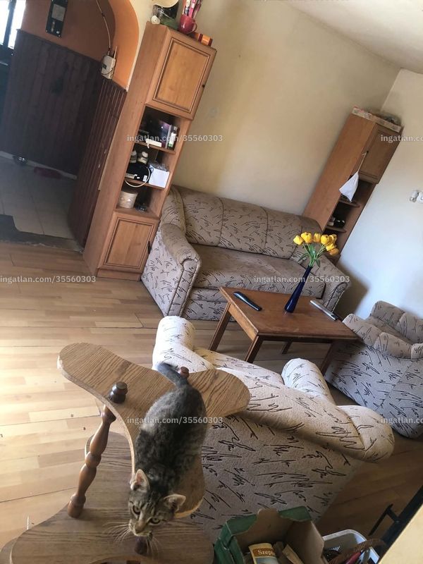 Hirdetés fotója
