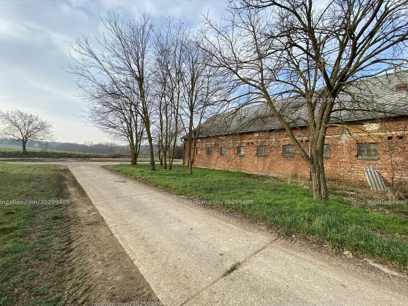 Foto auflisten