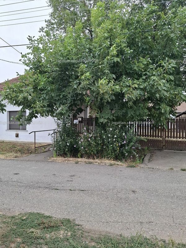 Foto auflisten