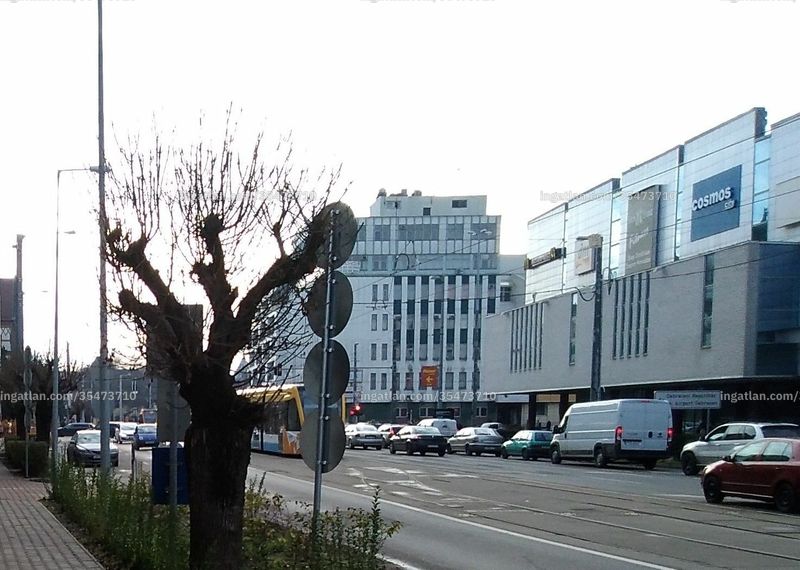 Ingatlan kép
