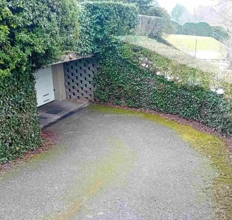 Bild über die Immobilie
