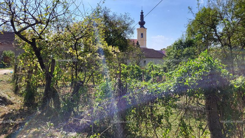 Foto auflisten