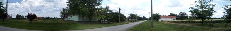 neighborhood