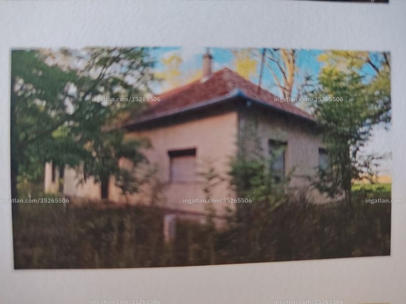 Foto auflisten