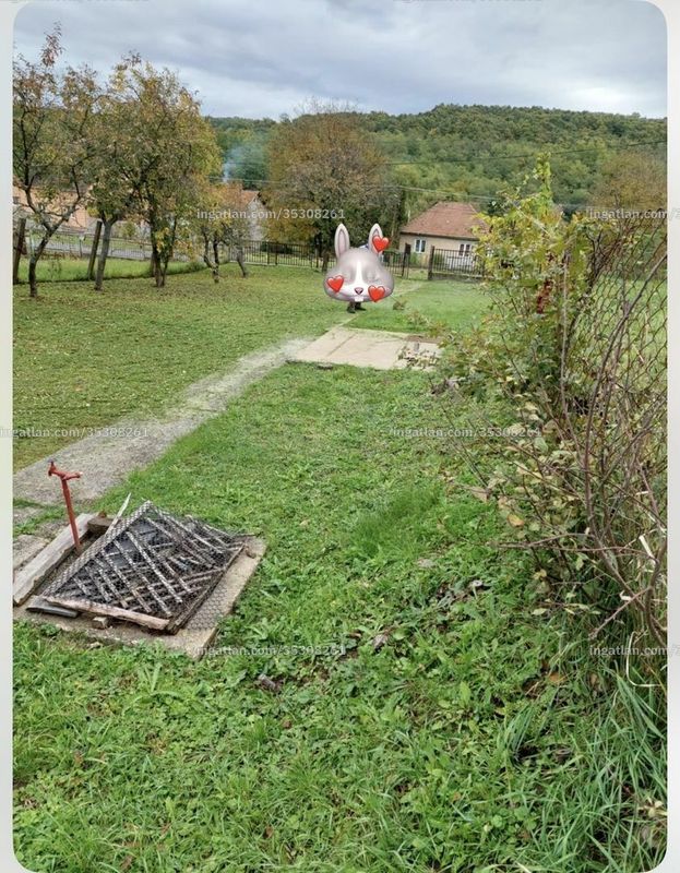 Bild über die Immobilie
