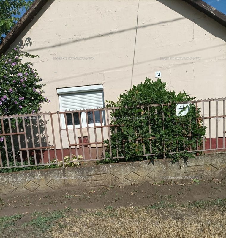 Foto auflisten