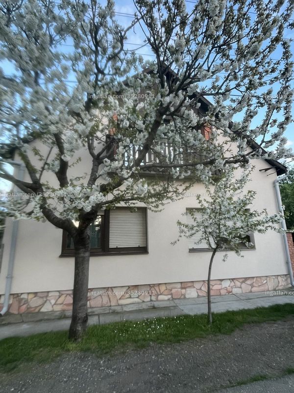 Foto auflisten
