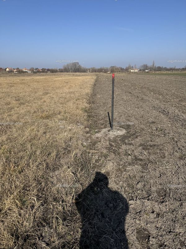 Foto auflisten