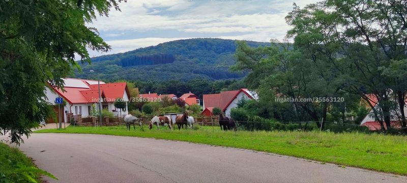Foto auflisten